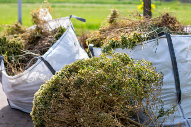 Best Affordable Junk Removal Services  in Mount Airy, NC