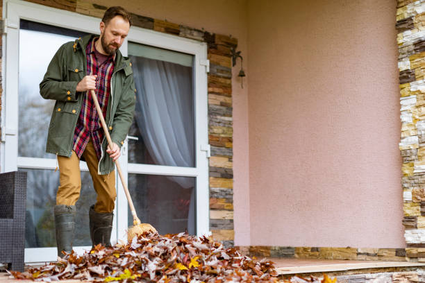 Debris Removal in Mount Airy, NC